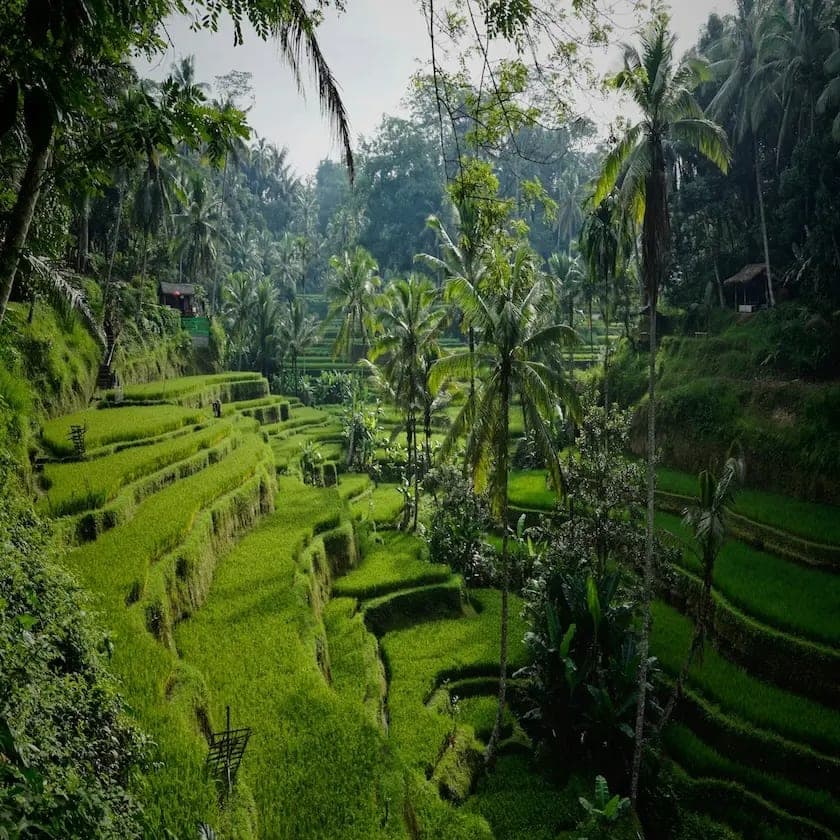 Bali Travel Tips: What You Must Know Before Visiting